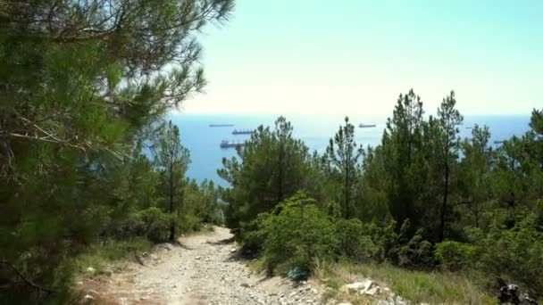 Senderismo Por Montaña Camino Rocoso Hacia Mar Través Bosque Pinos — Vídeo de stock