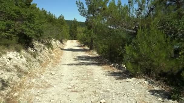 Hiking Mountain Rocky Path Sea Pine Forest — Stock Video