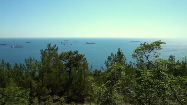 Нефтяной Танкер Плавающий Море — стоковое видео