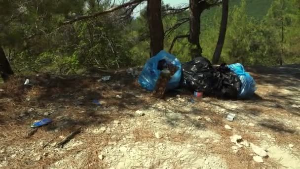 Basura Desechada Sin Limpiar Bolsas Plástico Naturaleza — Vídeos de Stock