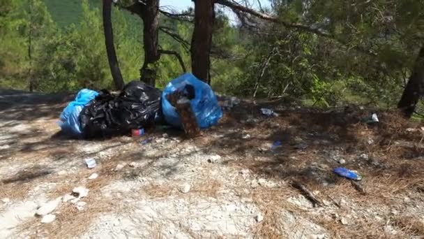 Неочищенный Мусор Пластиковых Пакетах Природе — стоковое видео
