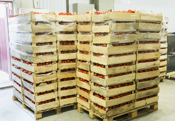 Viele rote Boxen in der Recyclingwerkstatt — Stockfoto