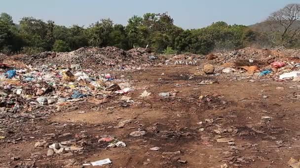 阳光普照的大垃圾堆垃圾 — 图库视频影像