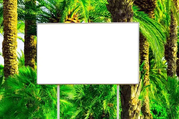 Üres billboard a hely adatait a, nagy zöld palm trópusi paradicsomban háttér levelek — Stock Fotó