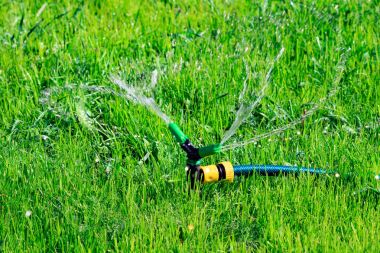 Su yeşil çim alanın üzerine spaying çim yağmurlama closeup çekim. Sulama sistemi