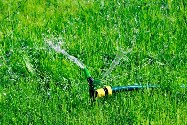 特写镜头的绿草域上喷涂水的草坪洒水器 灌溉系统 — 图库照片