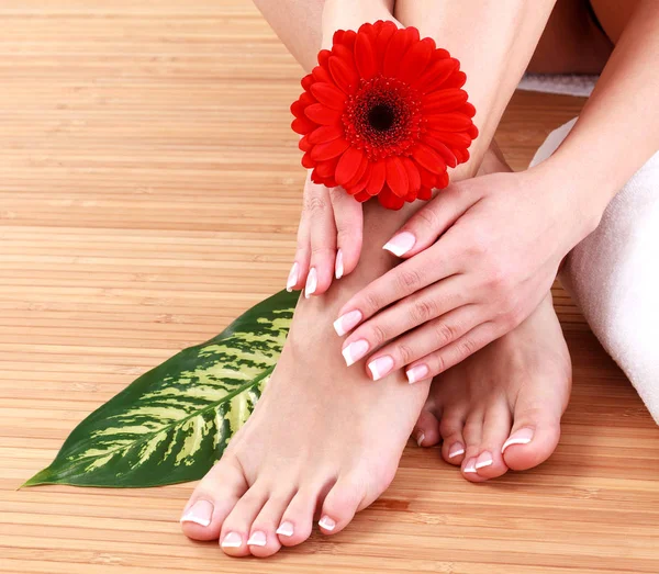 Closeup shot of female legs and hands with clean and soft skin. Skincare concept — Stock Photo, Image