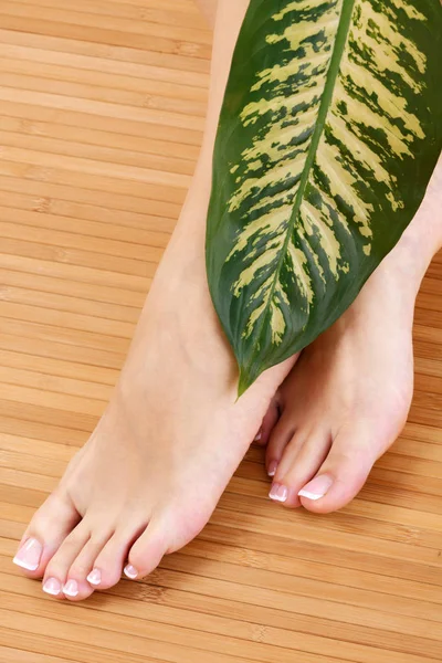 Primer plano de pies de mujer bien arreglados con gran hoja verde. Concepto de cuidado de la piel — Foto de Stock