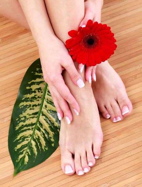 Closeup tiro de pernas femininas e mãos com pele limpa e macia . — Fotografia de Stock