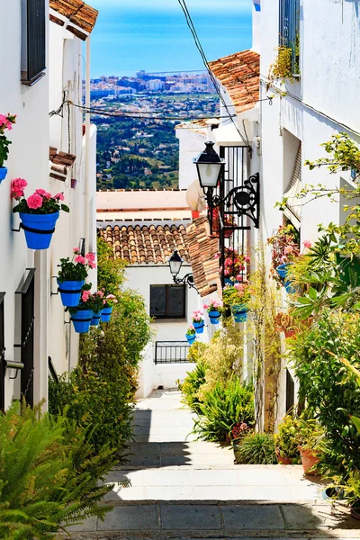 Împușcat de aproape de stradă de flori și vase de plante, Mijas, Andalucia, Spania — Fotografie, imagine de stoc