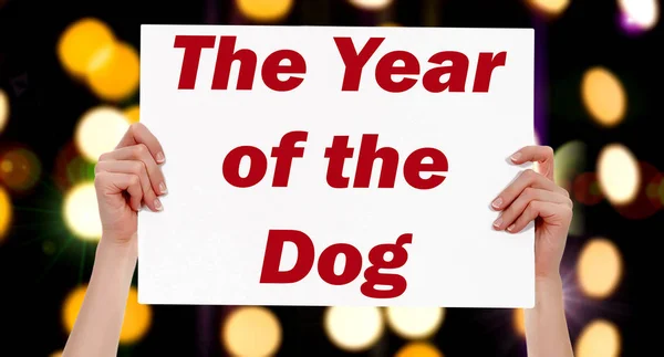 The Year of the Dog. Female hands holding a placard with abstract lights bokeh background — Stock Photo, Image
