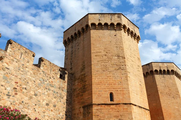 Mura del chiostro Poblet, Spagna — Foto Stock