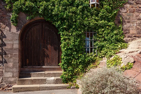 Porta de madeira velha e tijolos castanhos com hera verde — Fotografia de Stock