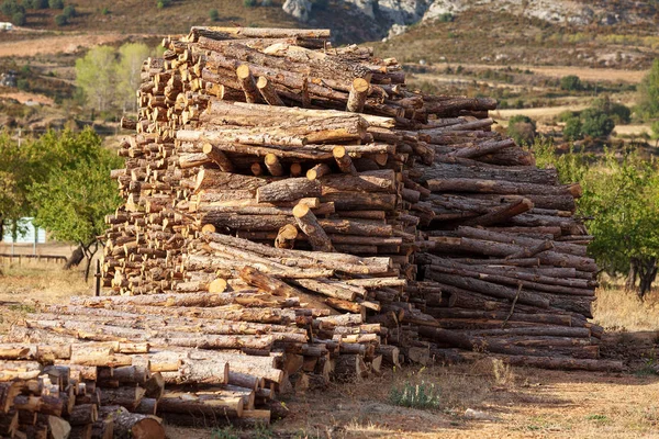 Pile of wooden logs — Stock Photo, Image