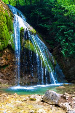 Ormanın derinliklerinde güzel bir şelale