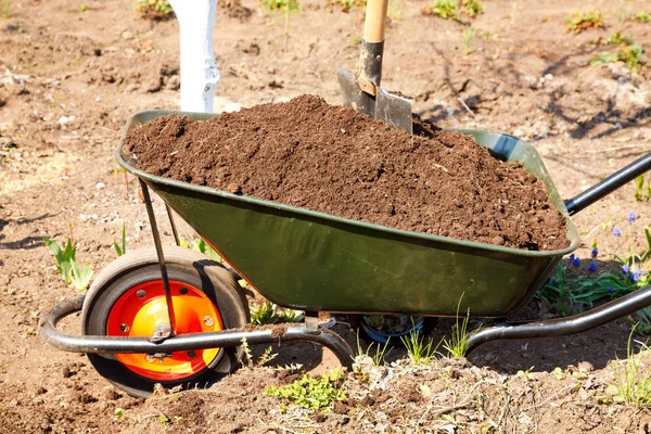 Carretilla de ruedas en un jardín — Foto de Stock