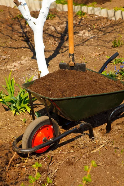 Інвалідна коляска в саду — стокове фото