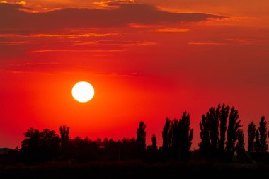 Güzel günbatımı ve ağaçların siluetleri