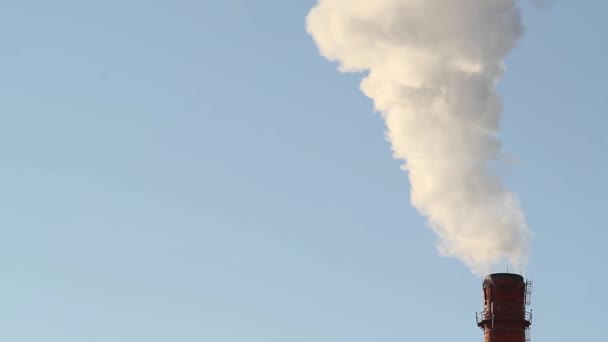 Humo Grueso Una Chimenea Industrial — Vídeos de Stock