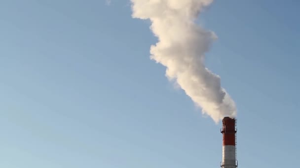 Humo Grueso Una Chimenea Industrial — Vídeos de Stock