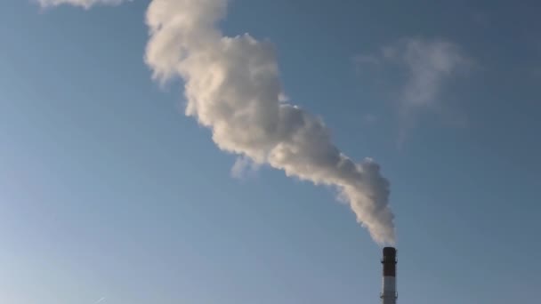 Dikke Rook Van Een Industriële Schoorsteen — Stockvideo