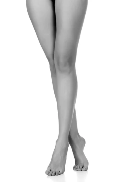 Woman Legs White Background — Stock Photo, Image