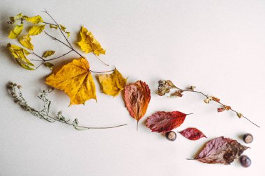 kurutulmuş sonbahar yaprakları yapılan kompozisyon.