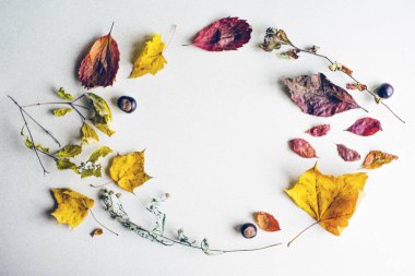 kurutulmuş sonbahar yaprakları yapılan kompozisyon.