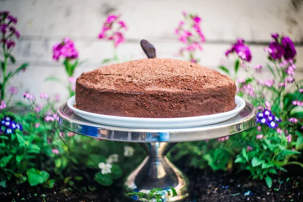 맛 있는 수 제 초콜릿 케이크 — 스톡 사진