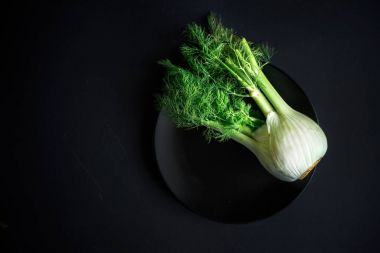 Fresh fennel Isolated  clipart