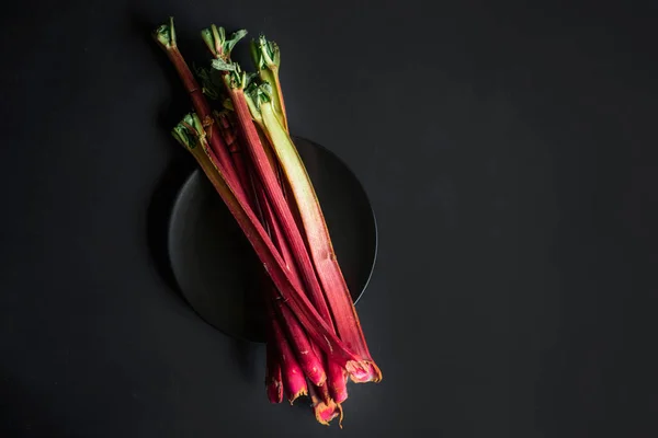 신선한 대 황 줄기 수확 — 스톡 사진