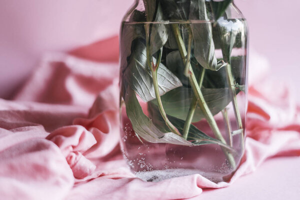 пионы в стеклянной вазе
  