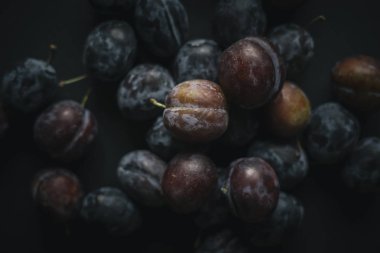 karanlık tablo taze Erik