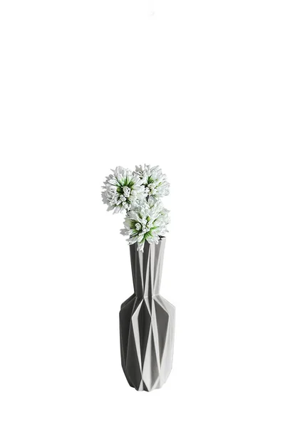 Decorative Modern Vase White Flowers Isolated White Background — Stock Photo, Image