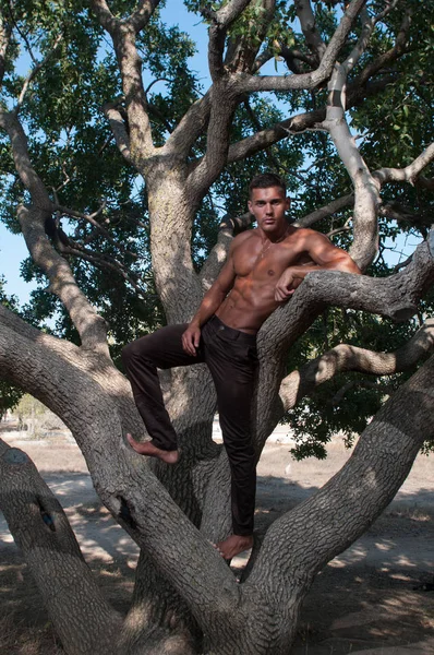 Shirtless modelo masculino — Fotografia de Stock