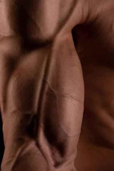 Svalnatý Mužský Model Ohýbající Bicepsy — Stock fotografie