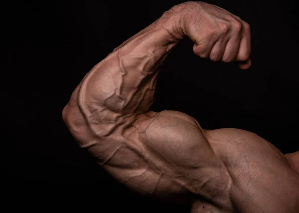 Umięśnione Męskie Modelki Napinające Bicepsy — Zdjęcie stockowe