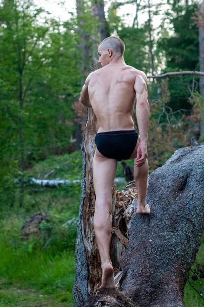 Männliches Modell im Wald — Stockfoto