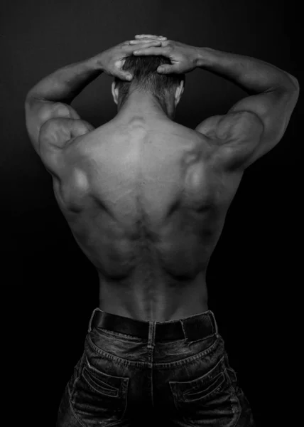 Мускулистый Мужчина Модель Показывает Спину Лицензионные Стоковые Фото