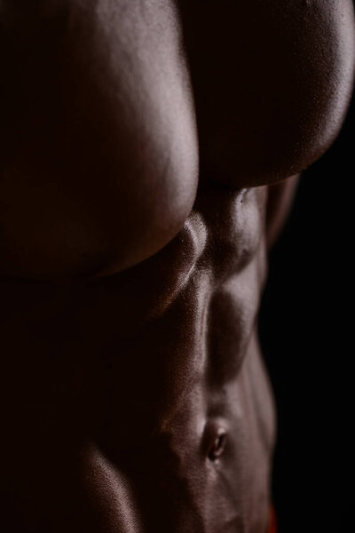 Muscled male torso with abs