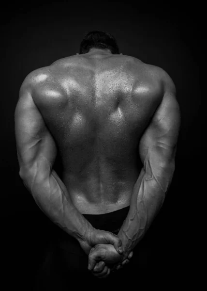 Μυώδης Αρσενικό Μοντέλο Δείχνει Την Πλάτη Του — Φωτογραφία Αρχείου