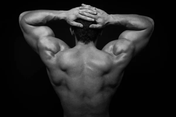 Muscled Male Model Showing His Back Royalty Free Stock Photos