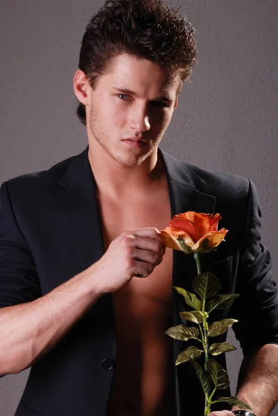 Male Model Posing Studio Suit Rose — Stock Photo, Image