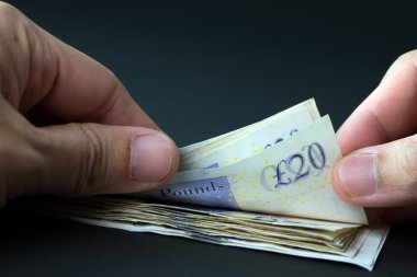 Lirası banknot sayma