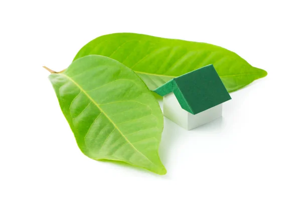 Eco groen huis — Stockfoto