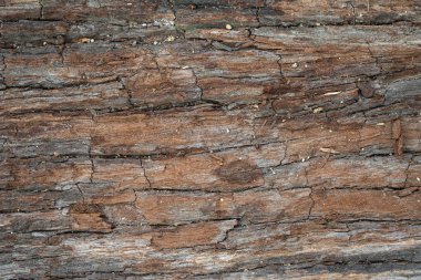 eski ahşap doku arkaplanı