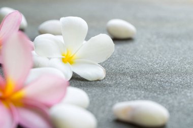 Spa taşlar kavramı
