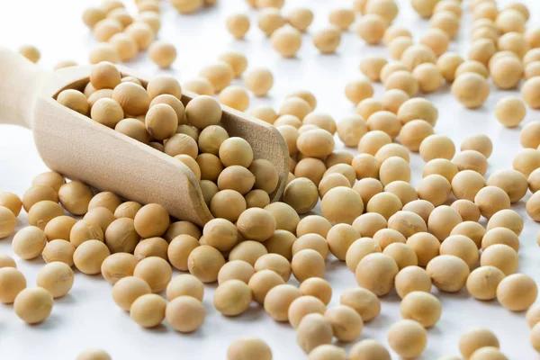 Heap of soya beans — Stock Photo, Image