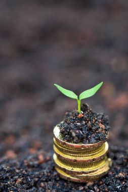 İyi yatırım kavramı 