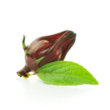 Roselle meyve yaprak ile